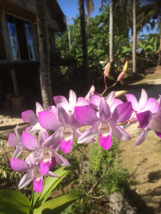 Hotel We Call It Rainbow Paradise Daanbantayan Exterior foto